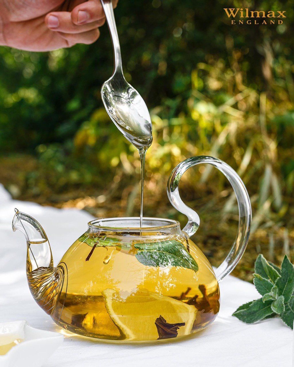 Glass Tea Pot