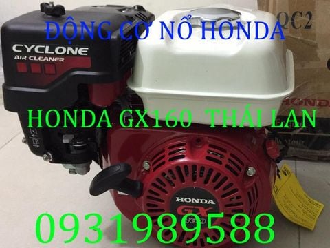 Đầm dùi chạy xăng Honda Thái GX160