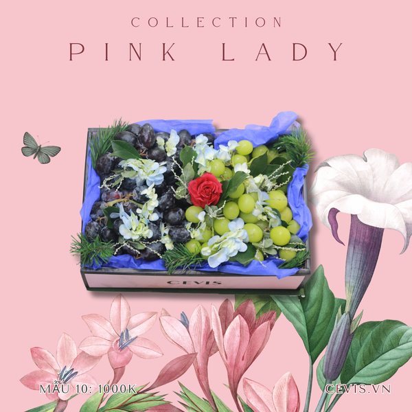  Hộp quà Pink Lady P10 