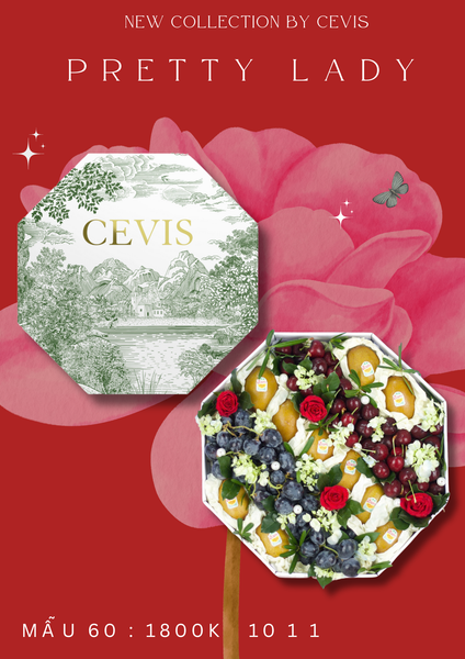  Hộp quà PrettyLady L60 