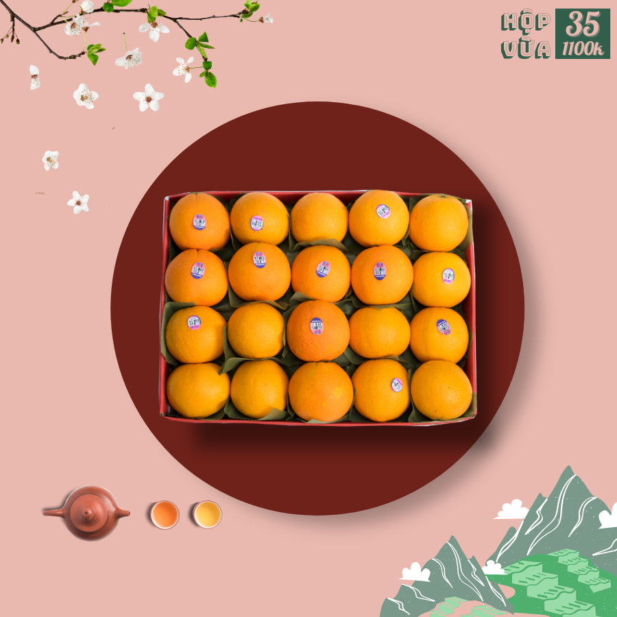  Hộp quà size vừa 35 