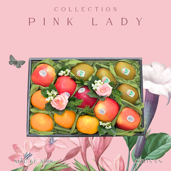  Hộp quà Pink Lady P67 
