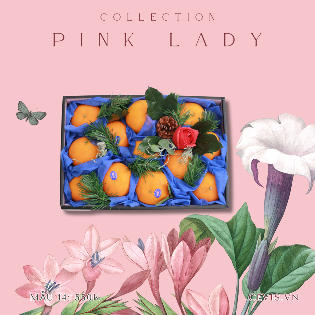  Hộp quà Pink Lady P14 