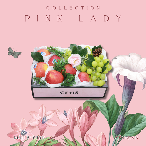  Hộp quà Pink Lady P06 
