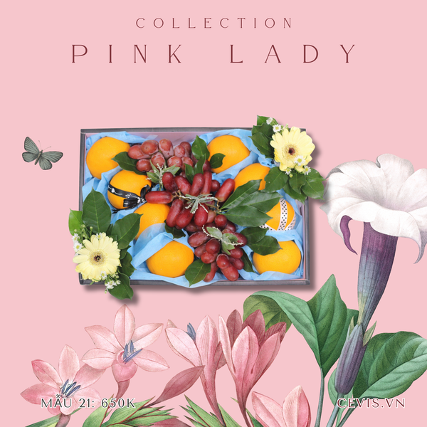  Hộp quà Pink Lady P21 