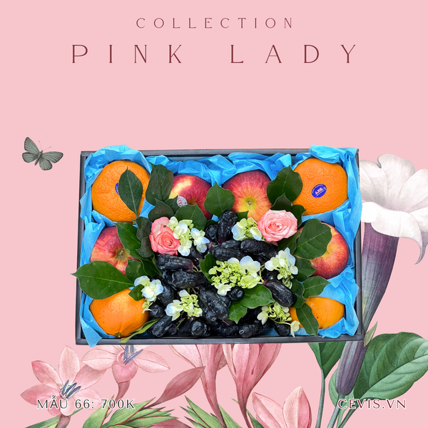  Hộp quà Pink Lady P66 