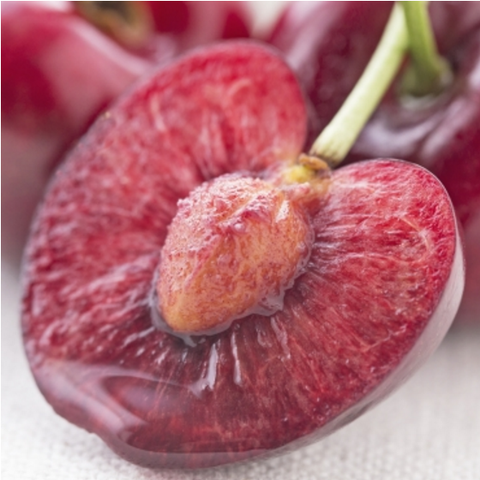  Cherry Mỹ size 8 ( tạm hết ) 