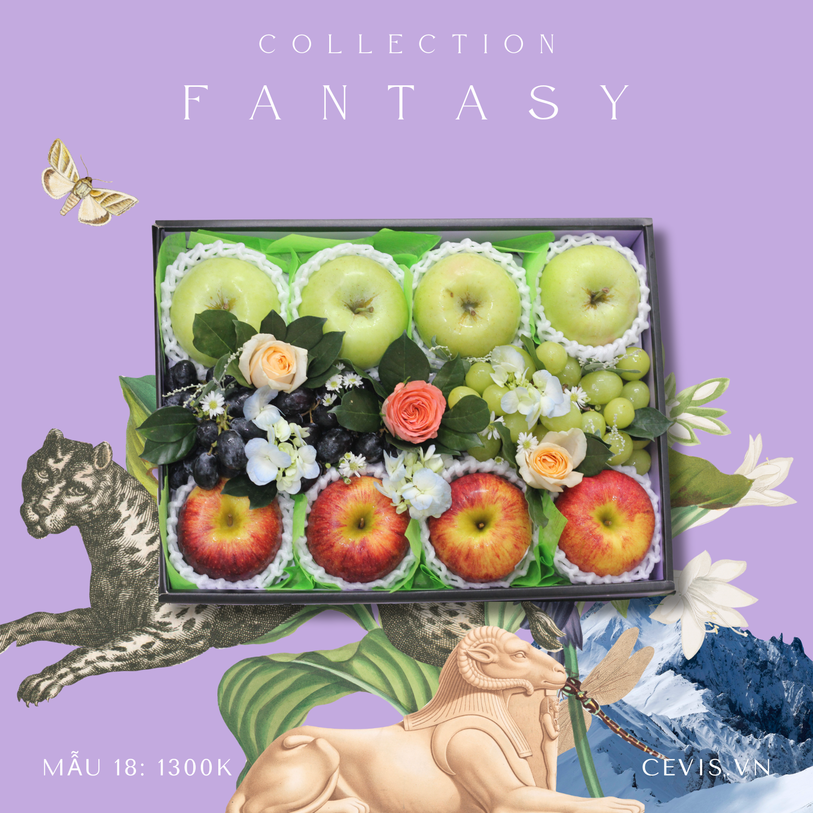 Hộp quà Fantasy F18