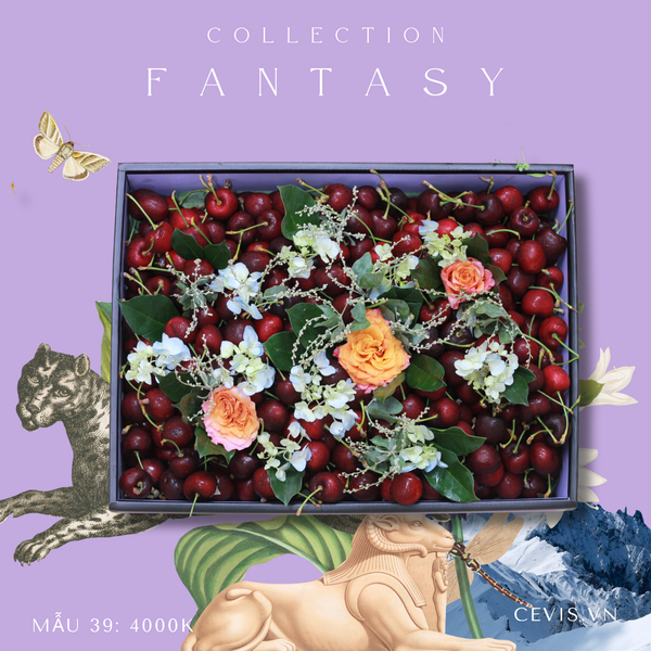  Hộp quà Fantasy F39 