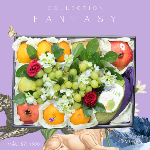  Hộp quà Fantasy F57 