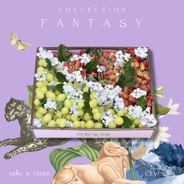  Hộp quà Fantasy F09 
