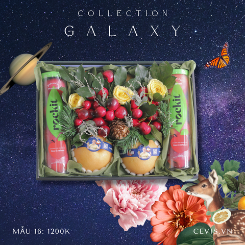  Hộp quà Galaxy G16 