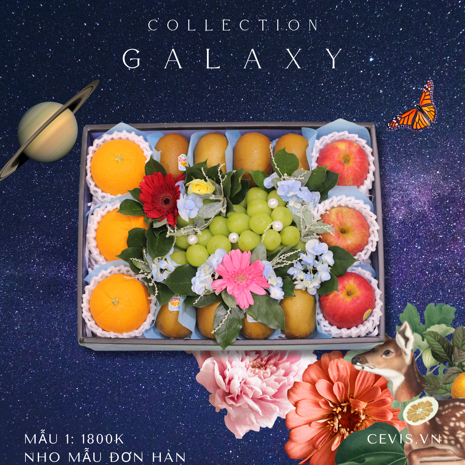 Hộp quà Galaxy G01