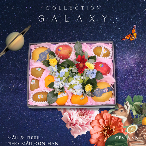  Hộp quà Galaxy G05 