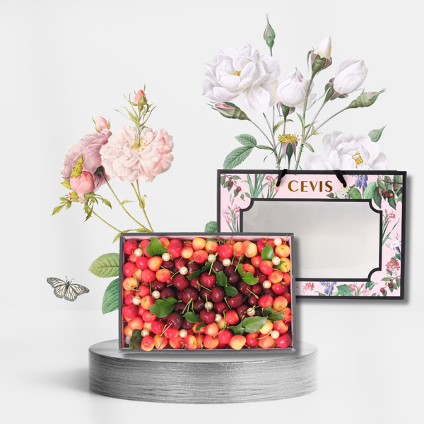  Hộp nắp gương hồng GH016 