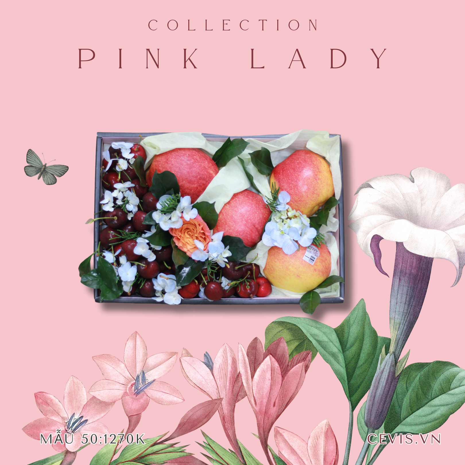 Hộp quà Pink Lady P50