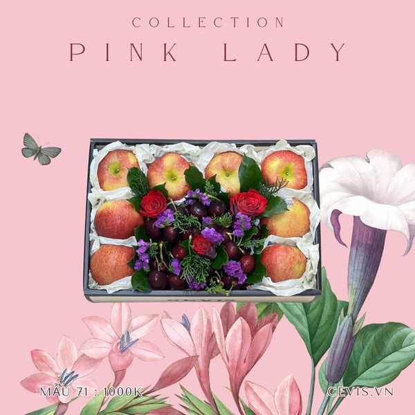  Hộp quà Pink Lady P71 