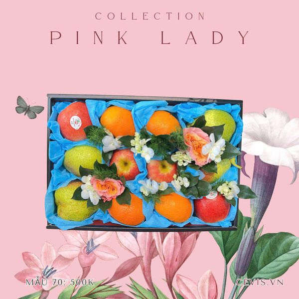  Hộp quà Pink Lady P70 