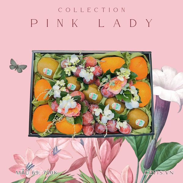  Hộp quà Pink Lady P69 