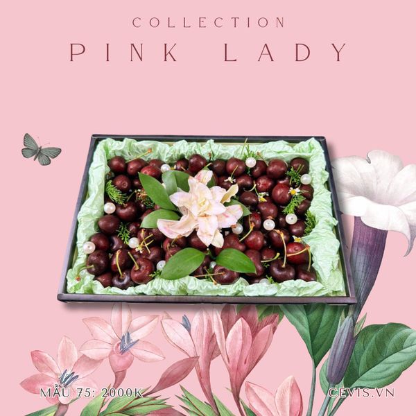  Hộp quà Pink Lady P75 