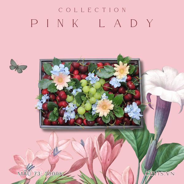  Hộp quà Pink Lady P73 