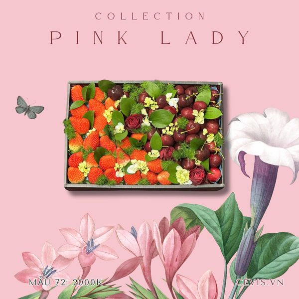  Hộp quà Pink Lady P72 