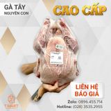  Gà Tây nguyên con Cao Cấp 
