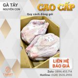 Gà Tây nguyên con Cao Cấp 