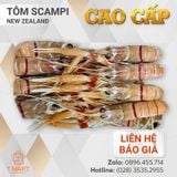  Tôm Scampi New Zealand Cao Cấp 