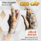  Tôm Scampi New Zealand Cao Cấp 