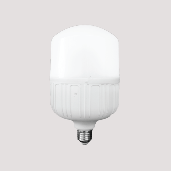 Bóng đèn Led Bulb 30W NLBT303