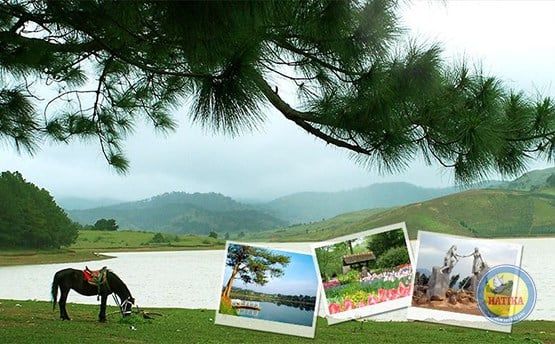 Tour Đà Lạt 4N3Đ:  ĐÀ LẠT - THÁC DATANLA - LANGBIANG - ĐỒI MỘNG MƠ - THIỀN VIỆN TRÚC LÂM