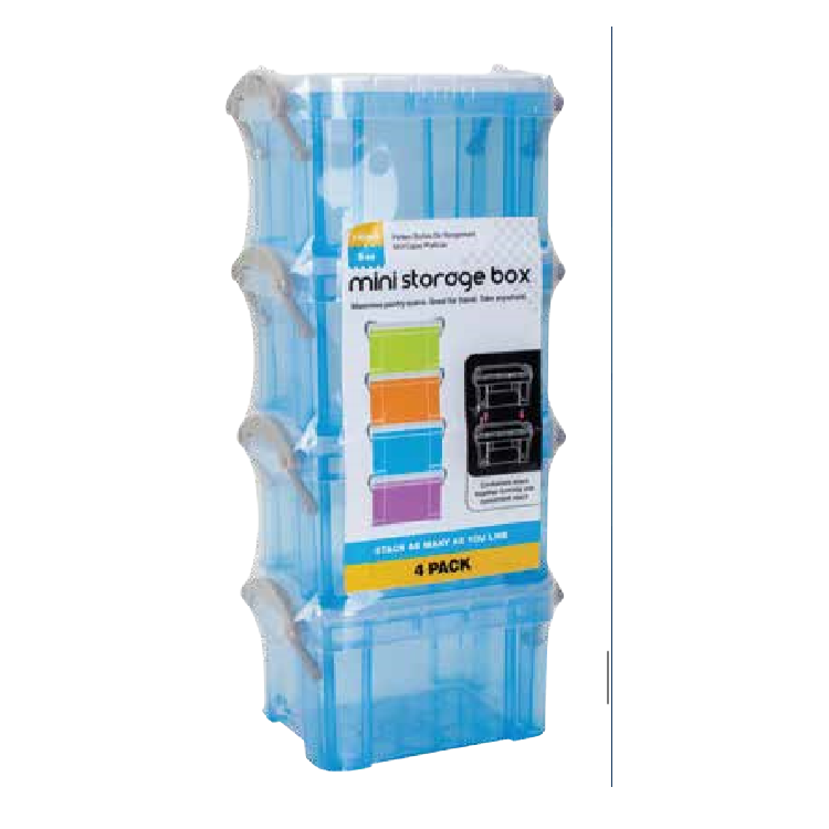 MINI STORAGE BOX 4PK 4 COL ASS