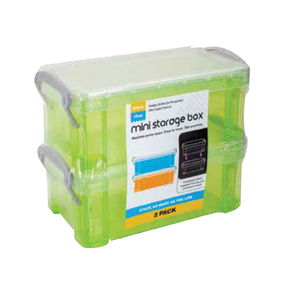 MINI STORAGE BOX 2PK 4 COL ASS