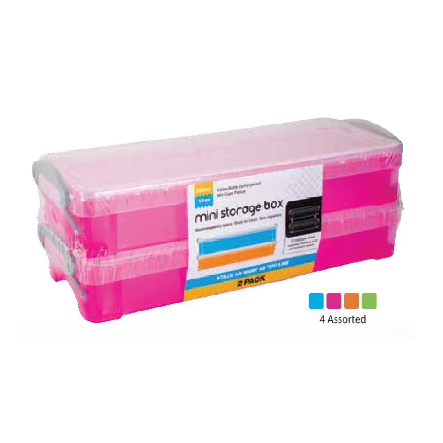MINI STORAGE BOX 2PK 4 COL ASS