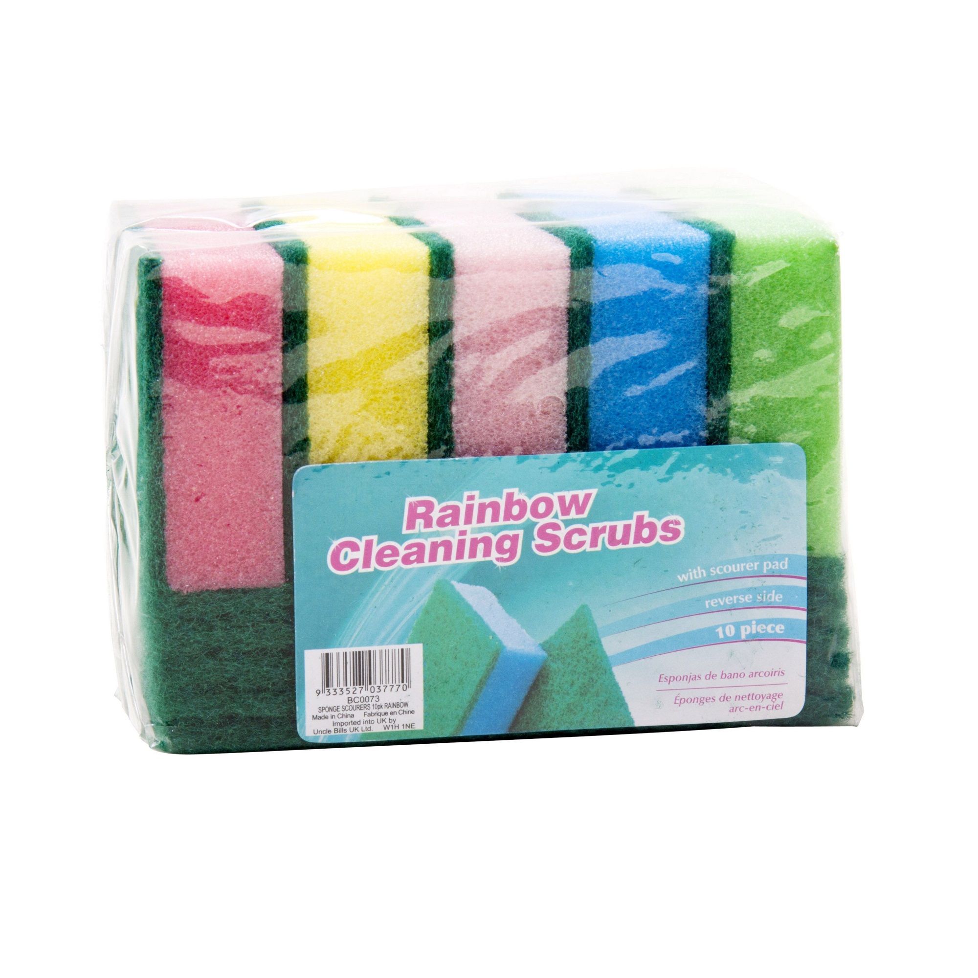 Sponge Scourer Pad 10Pk