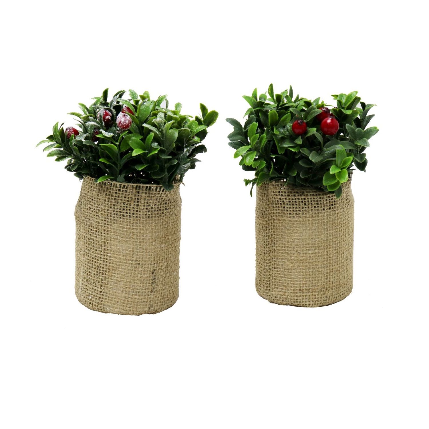 CHRISTMAS PLANT VINTAGE WRAP 12cm 2asst Uncle Bills XB2851