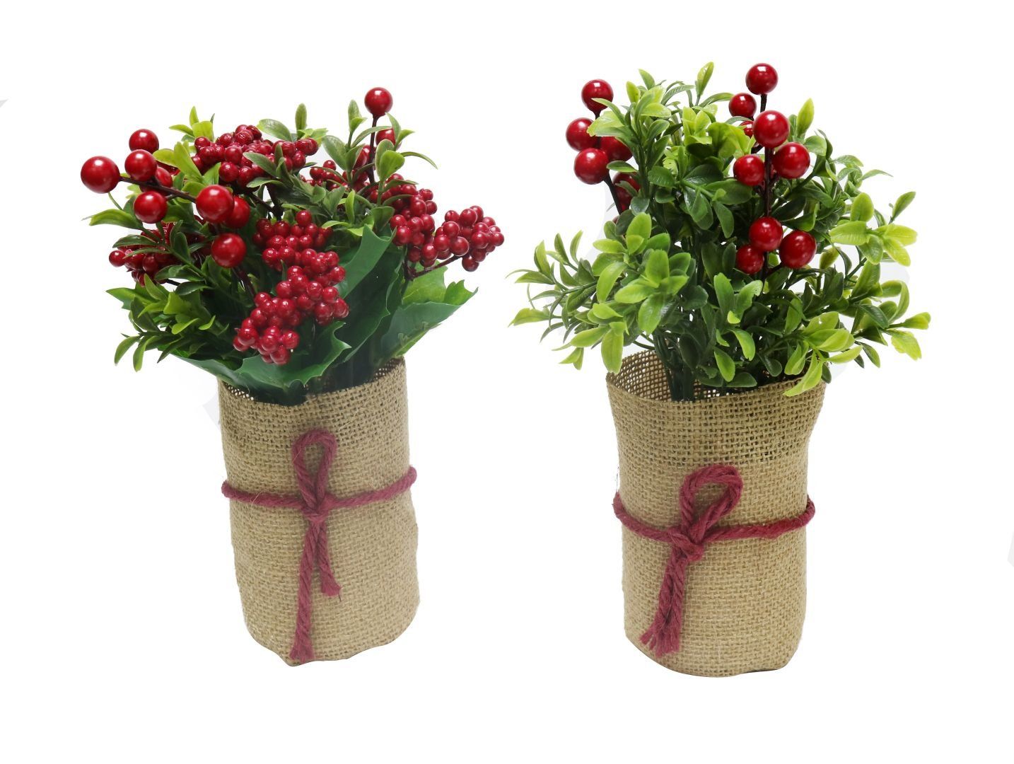 Chậu Cây Berry Để Bàn 20Cm - XD1103