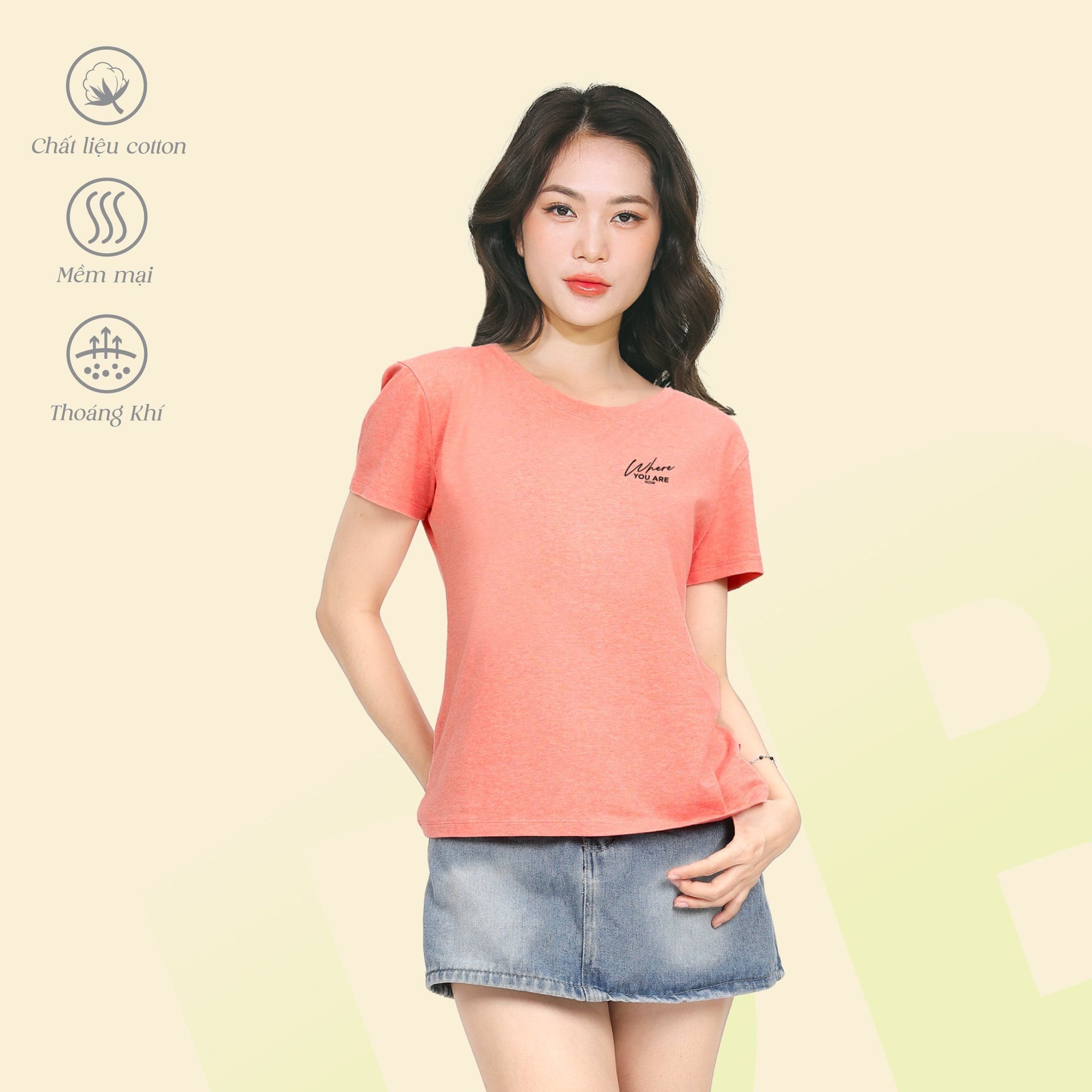 Áo thun nữ tay ngắn cổ tròn form suông chất cotton siêu mát 190p 0106