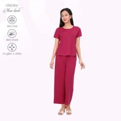Set đồ bộ nữ kiểu quần dài tay ngắn chất thun lạnh siêu bền 013p 6101