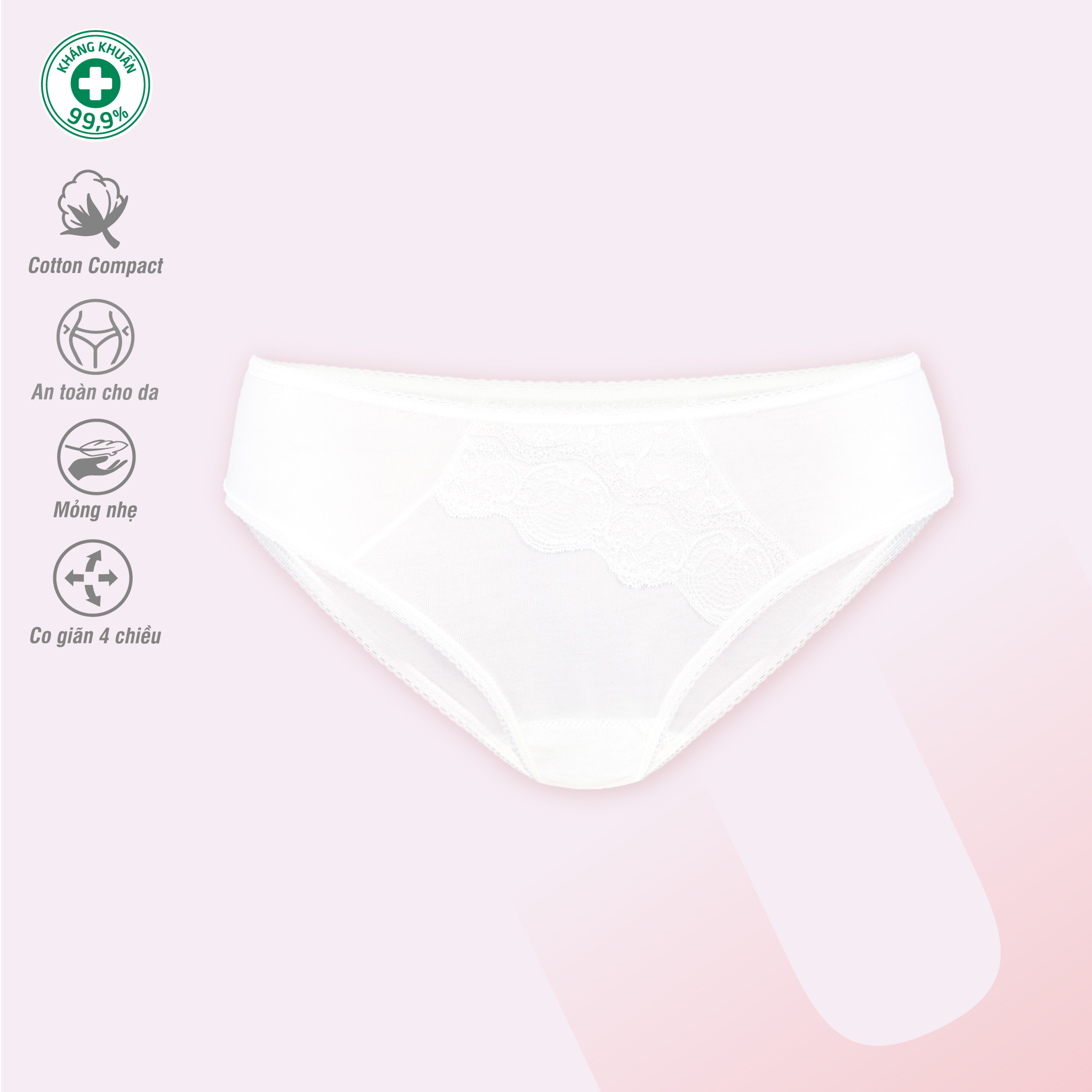 Combo 02-06-10 quần lót nữ chất cotton siêu mát 027p 7248