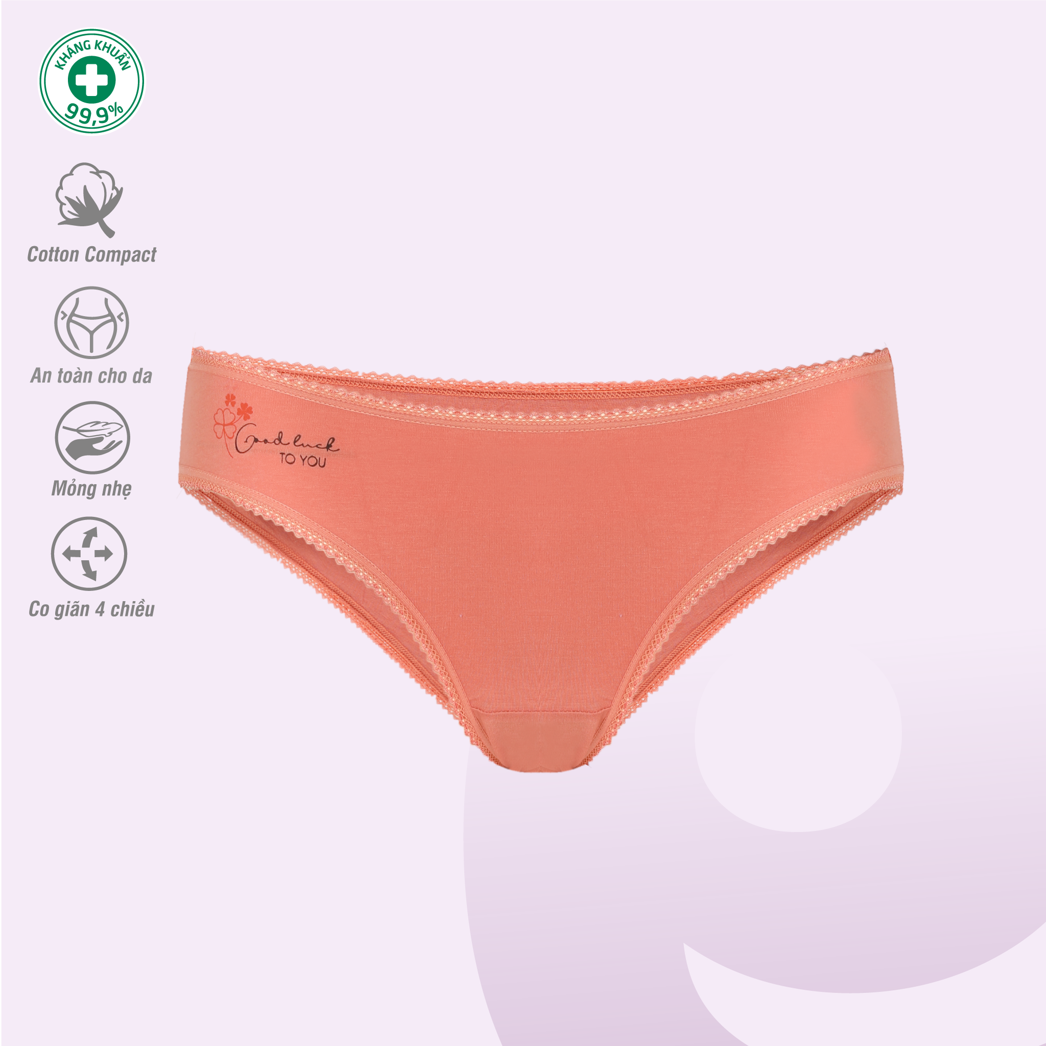 BST Combo 02-06-10 Quần lót nữ chất Cotton siêu mát 027p 7245 / 7246 / 7247 / 7248 / 7249 / 7250 / 7251 / 7253 / 7254