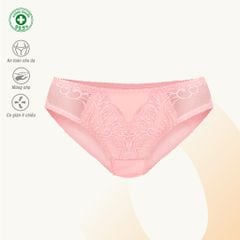 Combo 02-06-10 quần lót nữ chất cotton siêu mát 027p 7250