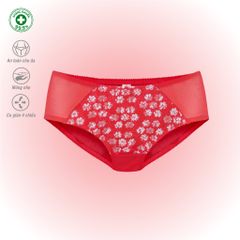 BST Combo 02-06-10 Quần lót nữ chất Voal Lưới siêu thoáng 077p 7263 / 7265 / 7267
