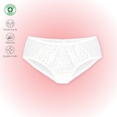 BST Combo 02-06-10 Quần lót nữ chất Voal Lưới siêu thoáng 077p 7263 / 7265 / 7267
