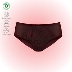 BST Combo 02-06-10 Quần lót nữ chất Voal Lưới siêu thoáng 077p 7263 / 7265 / 7267