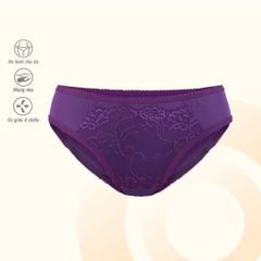Combo 02-06-10 quần lót nữ chất thun lạnh siêu bền 017p 7379