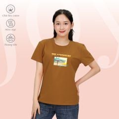 Áo thun nữ tay ngắn form suông chất cotton siêu mát 020p 0284