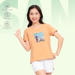 Áo thun nữ form suông cổ tim chất cotton siêu mát 190p 0326