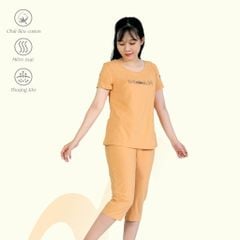 Set đồ bộ nữ kiểu quần lửng tay ngắn cotton 194p 4318